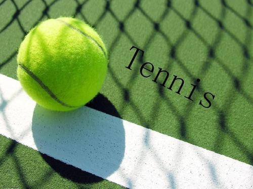 受到质疑 受到质疑