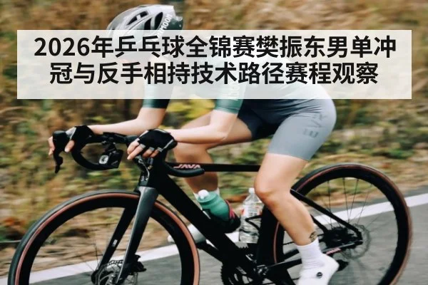 2026年乒乓球全锦赛樊振东男单冲冠与反手相持技术路径赛程观察